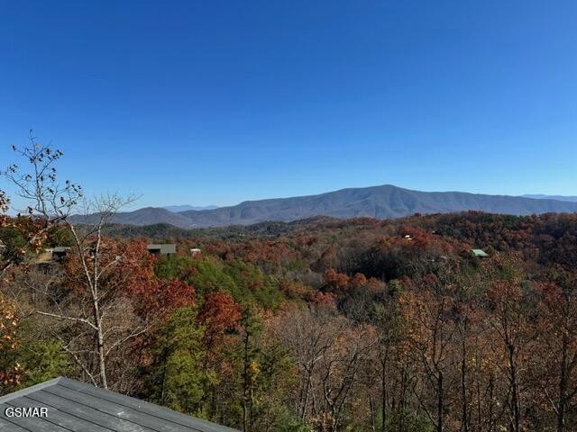 4420 Stackstone Road Sevierville, TN 37862 - Photo 5 of 40 Gallery Image 5
