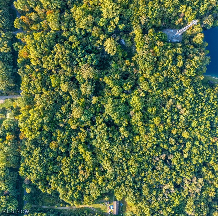 1135 Mahoning Portage County Line Road Lake Milton, OH 44429 - Photo 7 of 14