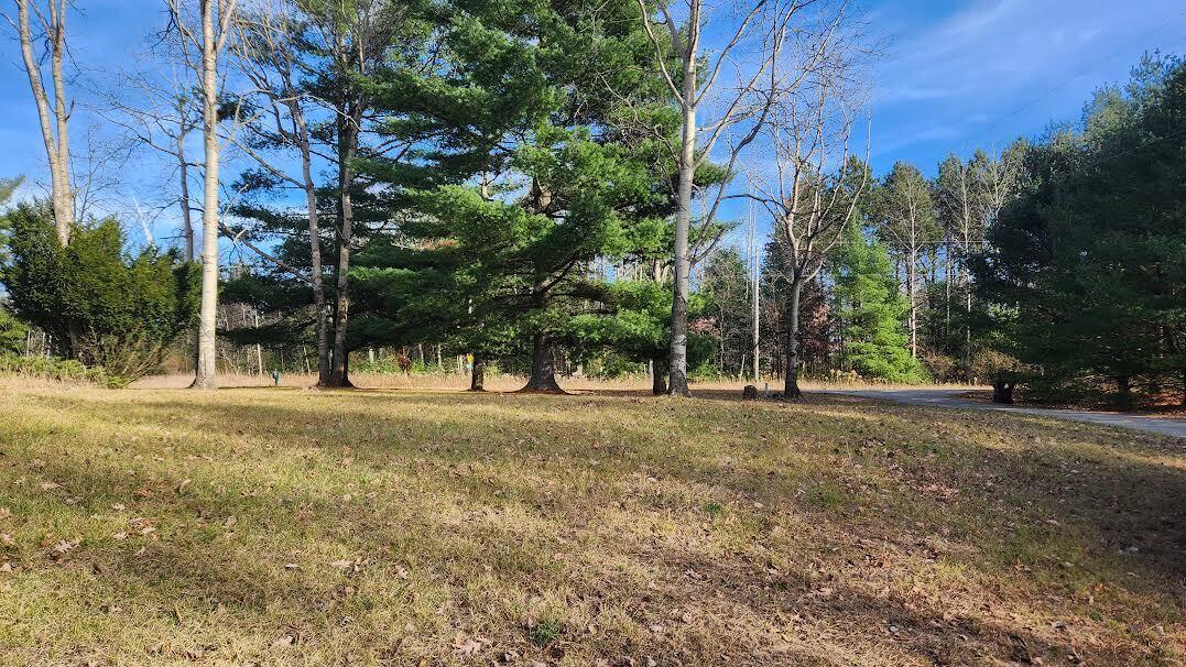 1895 North Littlefield Road Weidman, MI 48893 - Photo 3 of 29 2 Front Rd