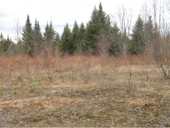 0 Christen Trail Road Jefferson, NH 03583 - Photo 20 of 32 Gallery Image 20