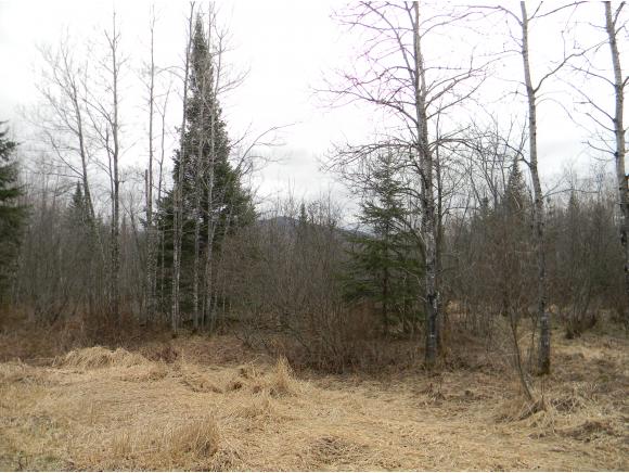 0 Christen Trail Road Jefferson, NH 03583 - Photo 5 of 32 Gallery Image 5