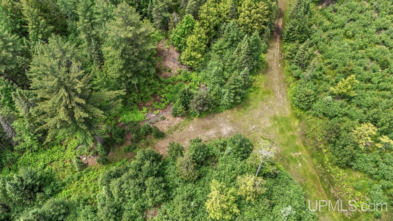 13.75 13.75 Road Escanaba, MI 49829 - Photo 14 of 16