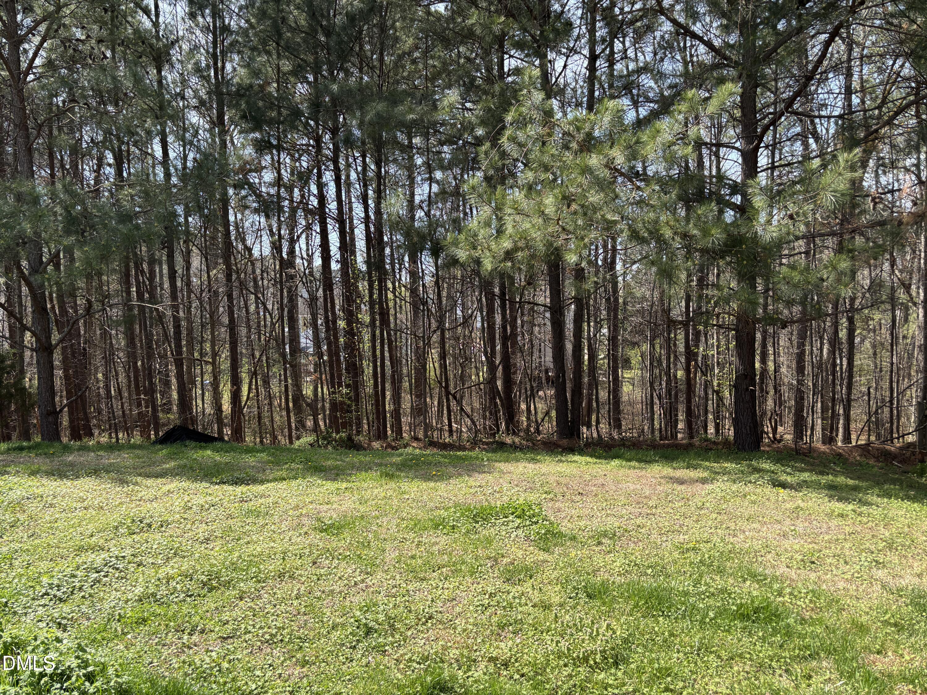 719 Obsidian Way Durham, NC 27703 - Photo 5 of 37 IMG_9629