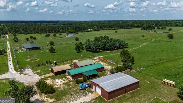 $650,000 | 0 Grab All Hill Road East, Montezuma, GA 31063