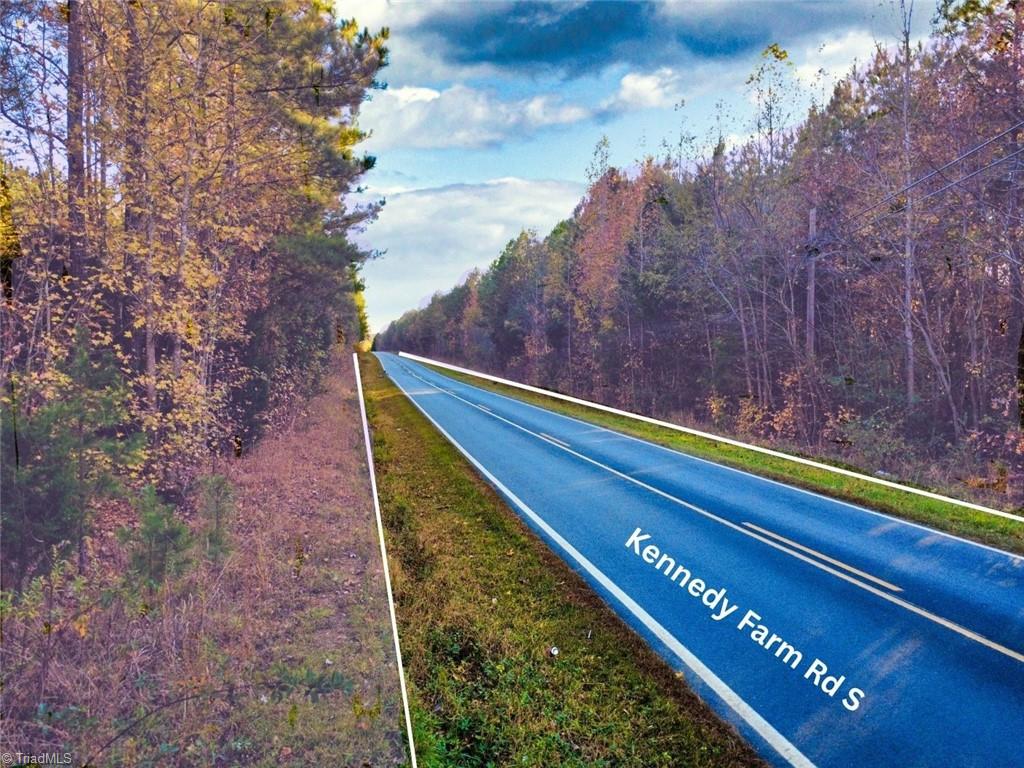0 East Us Highway Trinity, NC 27370 - Photo 3 of 15