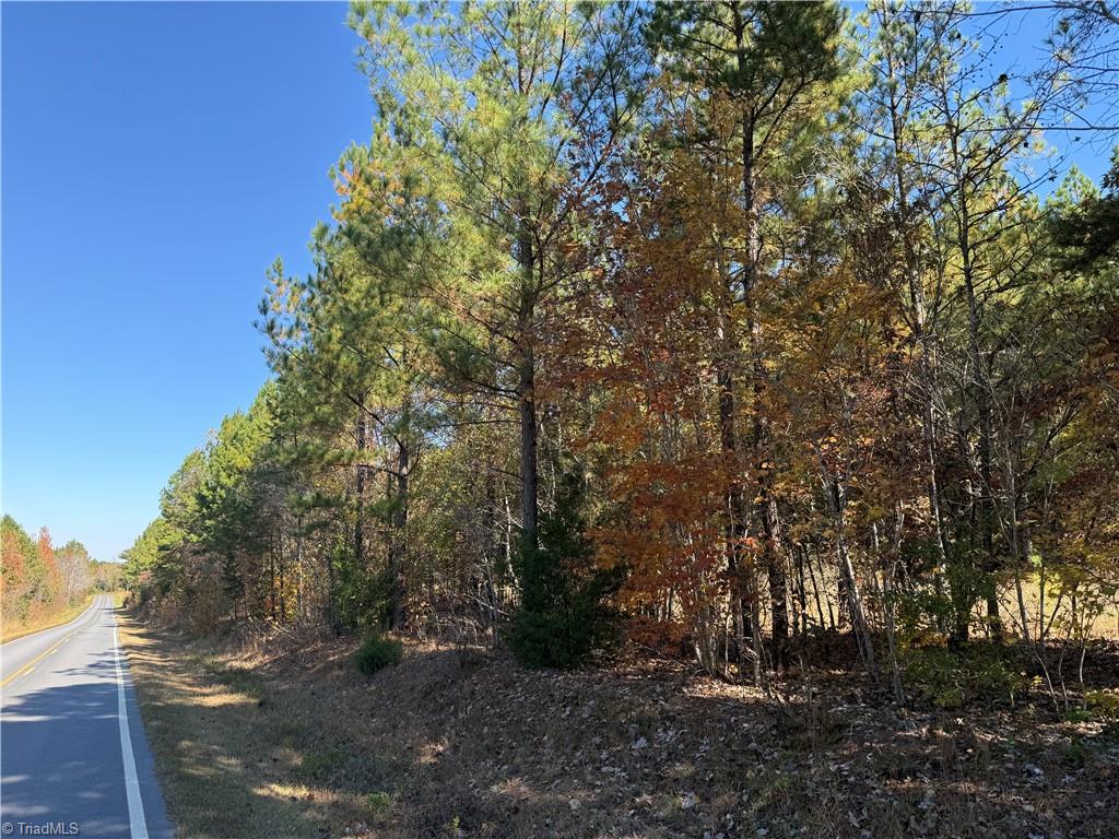 0 East Us Highway Trinity, NC 27370 - Photo 4 of 15