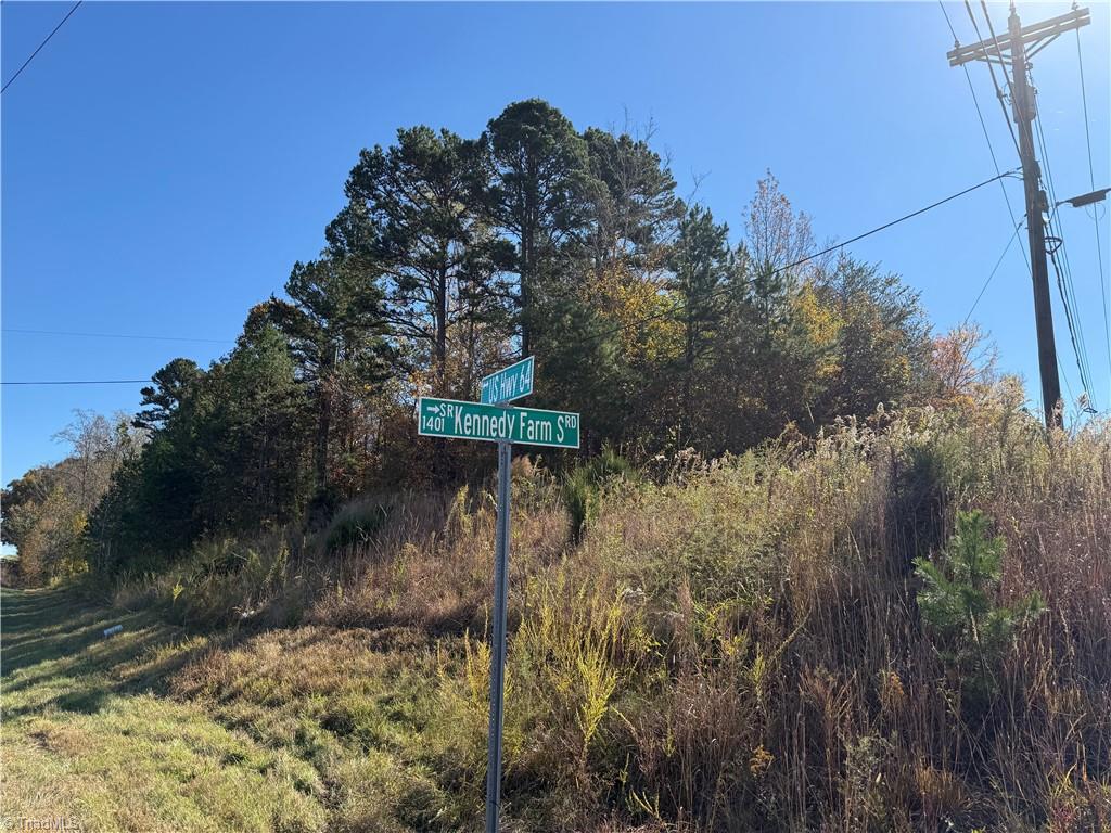 0 East Us Highway Trinity, NC 27370 - Photo 5 of 15
