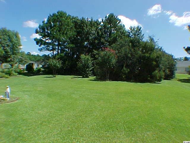 666 Bluebird Lane Murrells Inlet, SC 29576 - Photo 21 of 23 Gallery Image 21