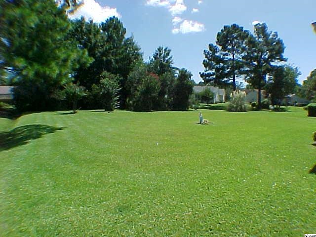 666 Bluebird Lane Murrells Inlet, SC 29576 - Photo 23 of 23 Gallery Image 23