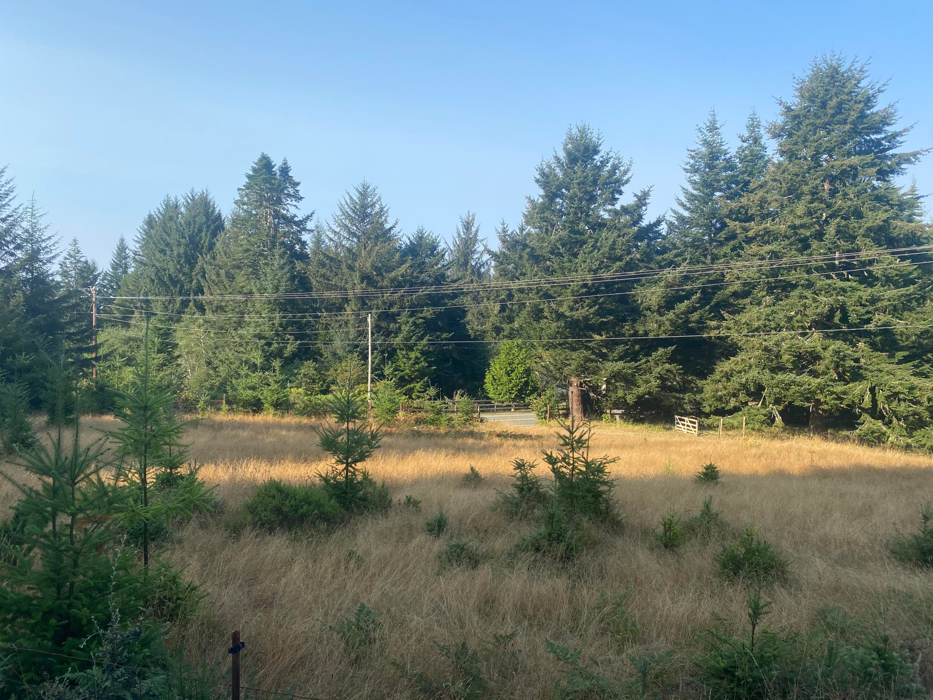 95845 Cape Ferrelo Road Brookings, OR 97415 - Photo 6 of 8 IMG_5400