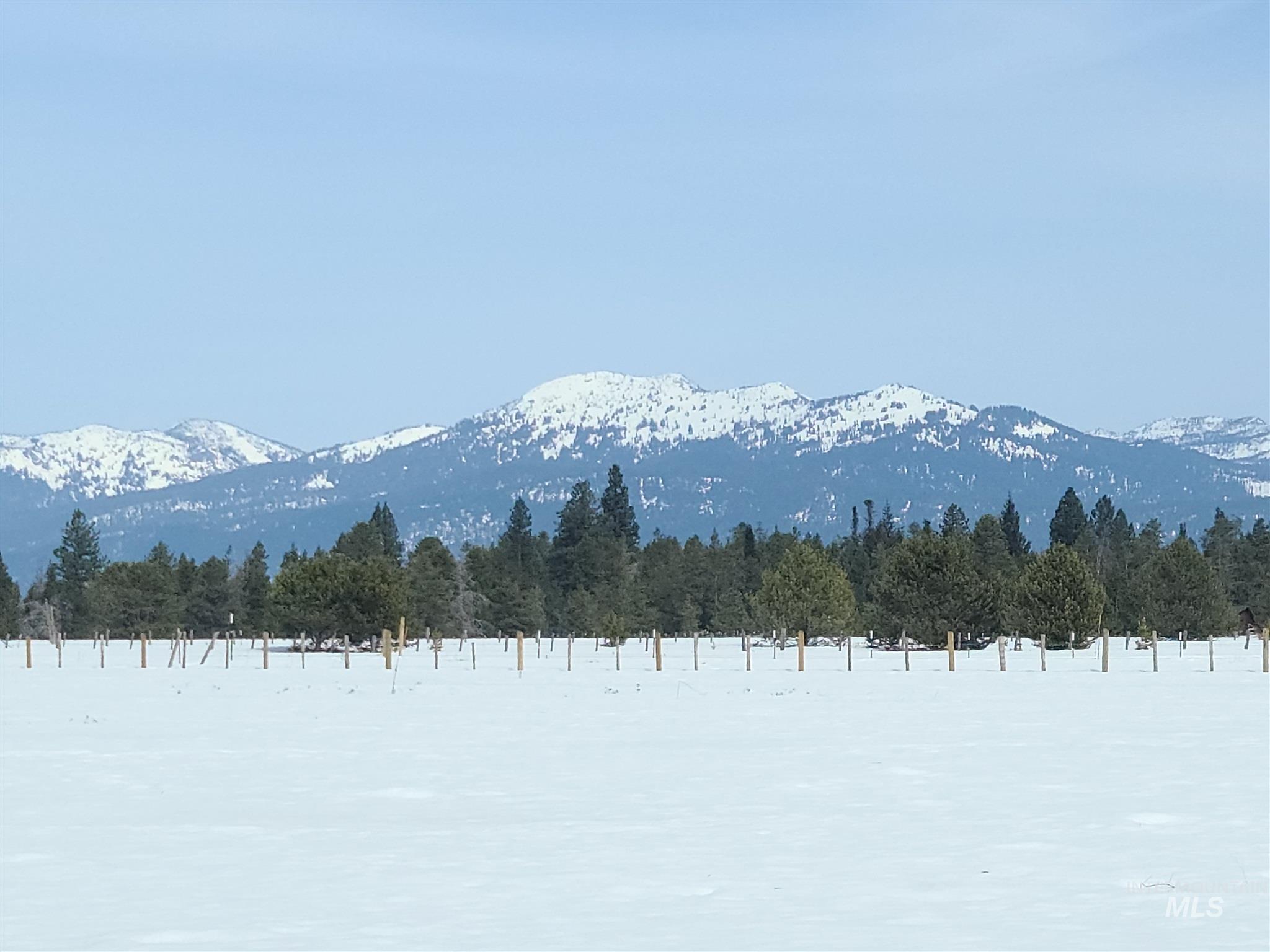 1808 Schultz Donnelly, ID 83615 - Photo 4 of 6