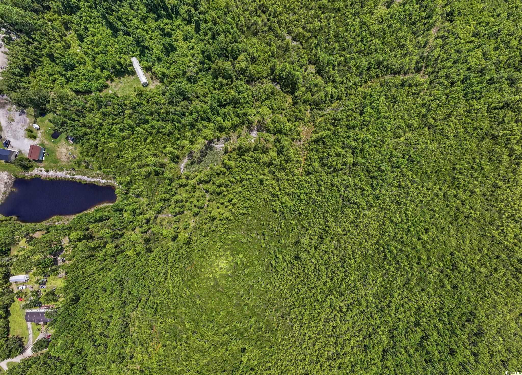Tbd Willard Road Longs, SC 29568 - Photo 11 of 13