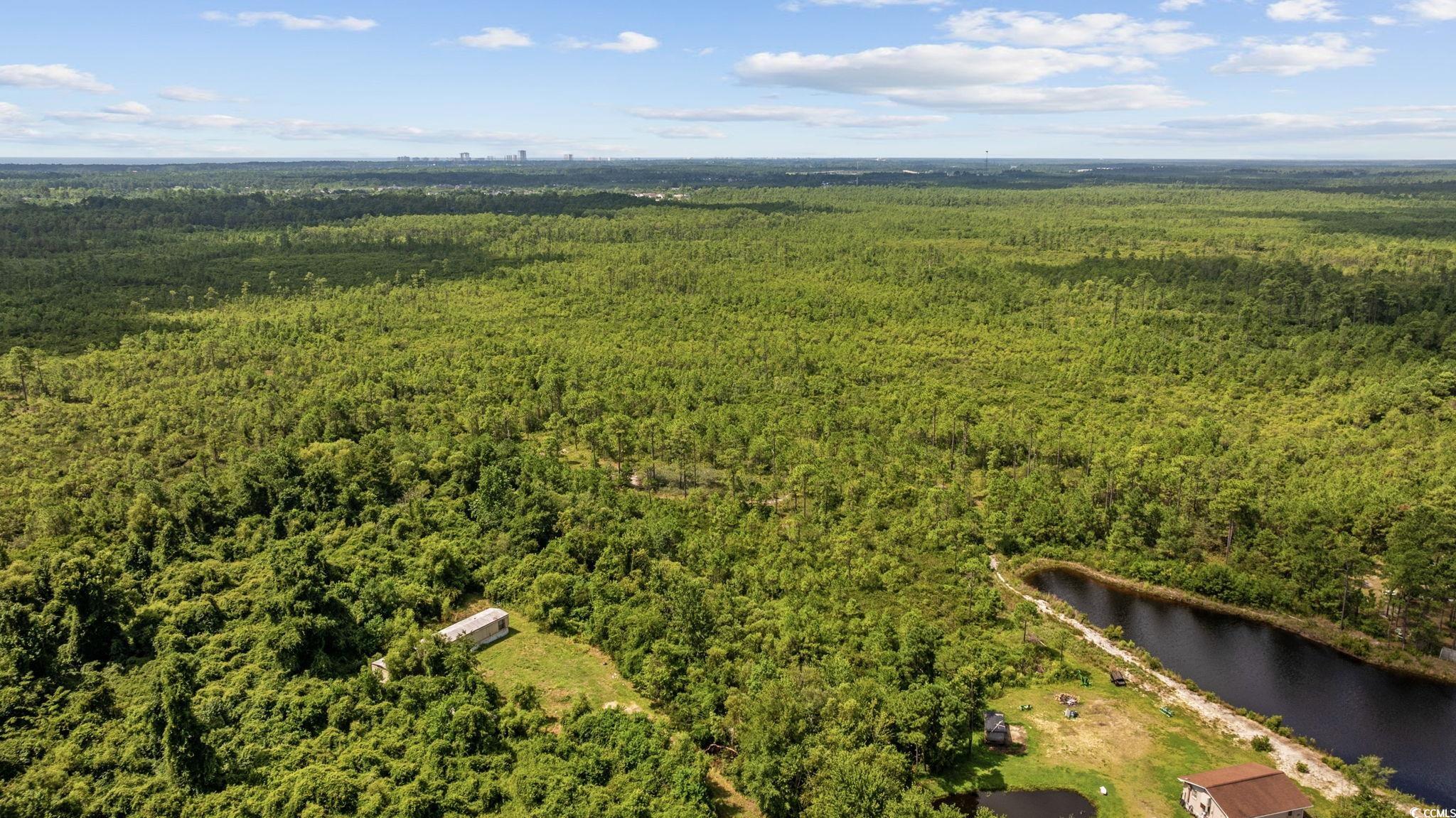 Tbd Willard Road Longs, SC 29568 - Photo 12 of 13