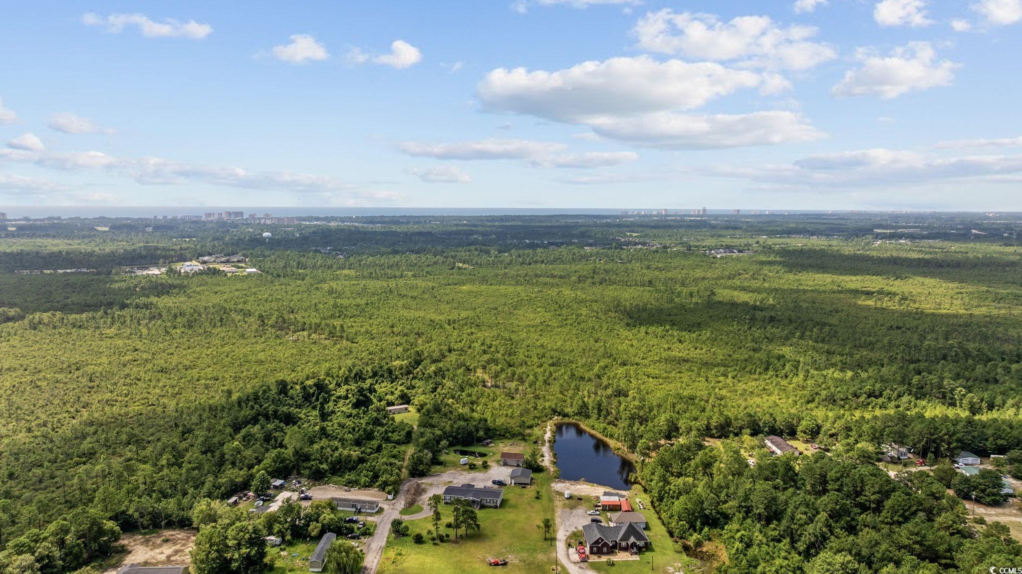 Tbd Willard Road Longs, SC 29568 - Photo 3 of 13