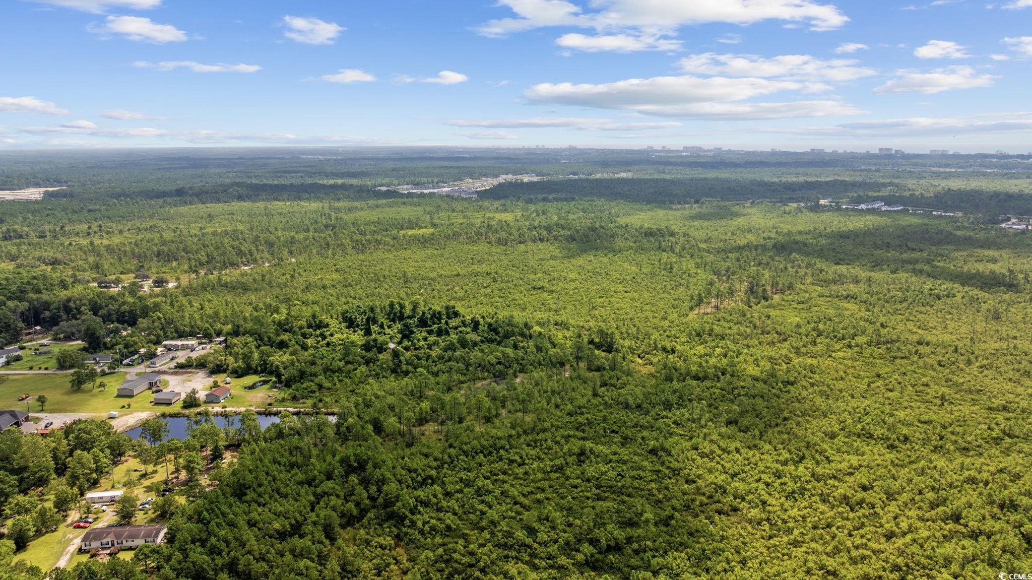 Tbd Willard Road Longs, SC 29568 - Photo 4 of 13