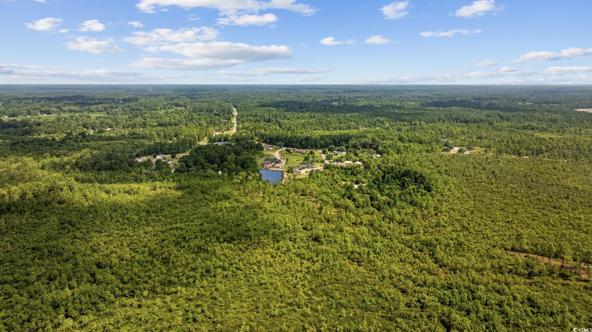 Tbd Willard Road Longs, SC 29568 - Photo 5 of 13