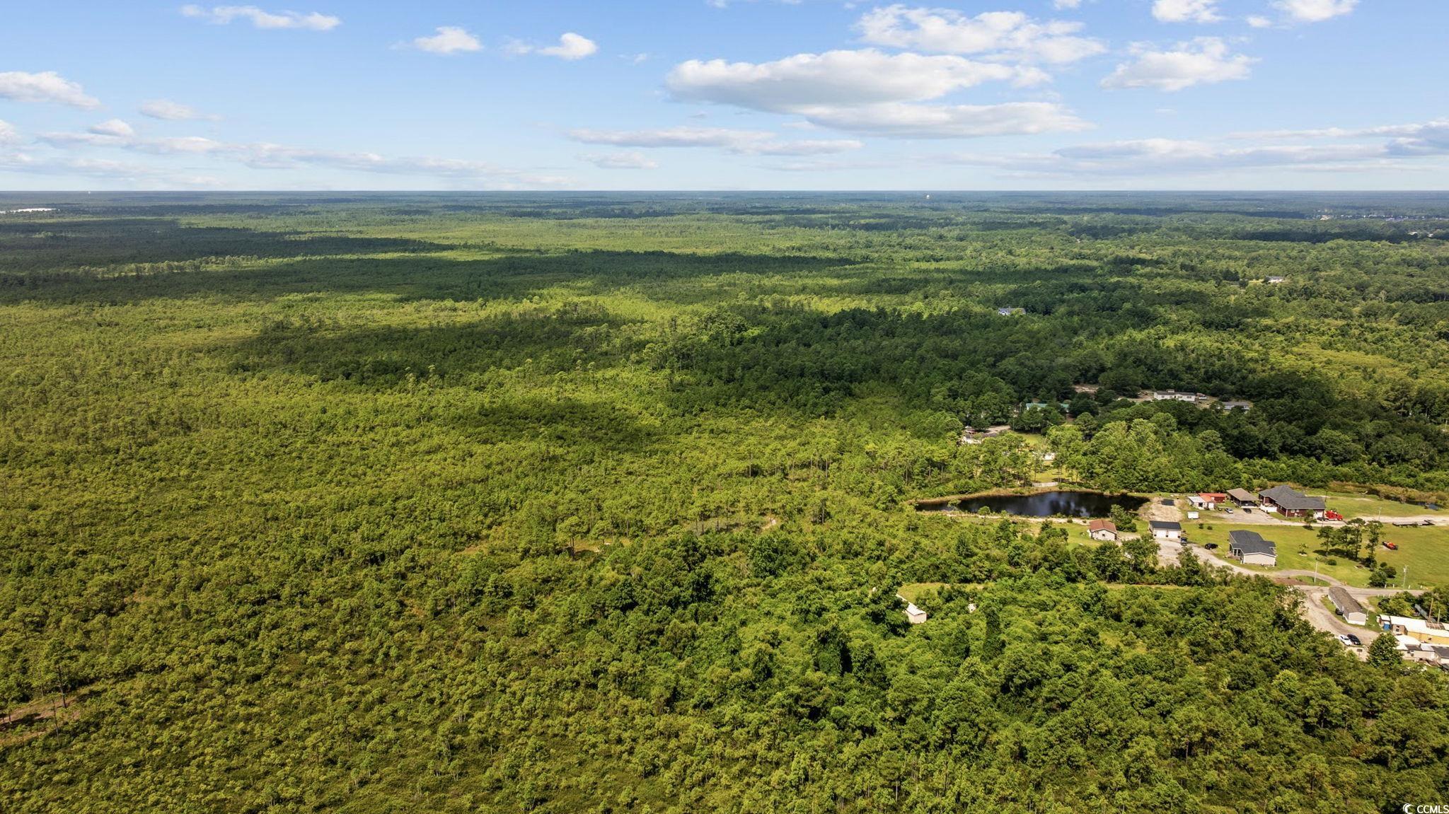 Tbd Willard Road Longs, SC 29568 - Photo 6 of 13