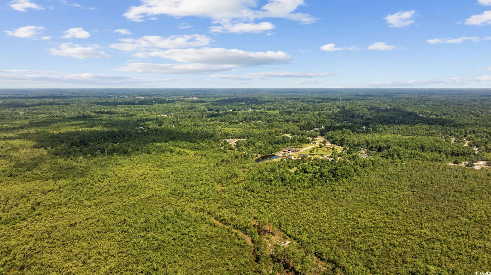 Tbd Willard Road Longs, SC 29568 - Photo 7 of 13