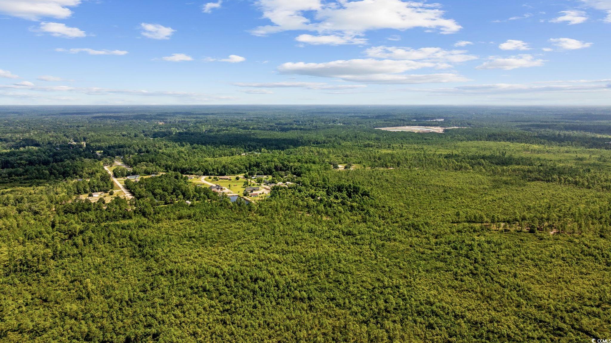 Tbd Willard Road Longs, SC 29568 - Photo 8 of 13