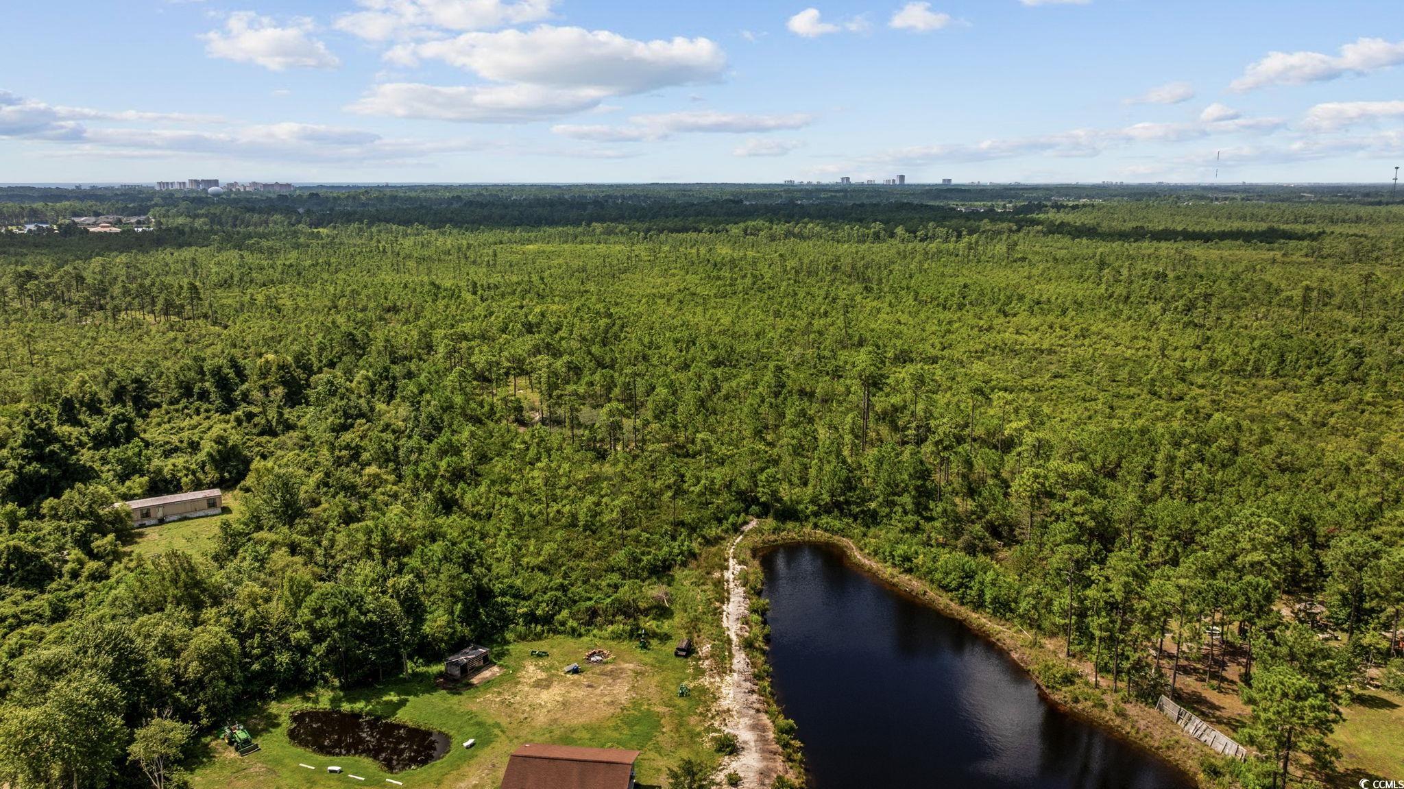 Tbd Willard Road Longs, SC 29568 - Photo 10 of 13