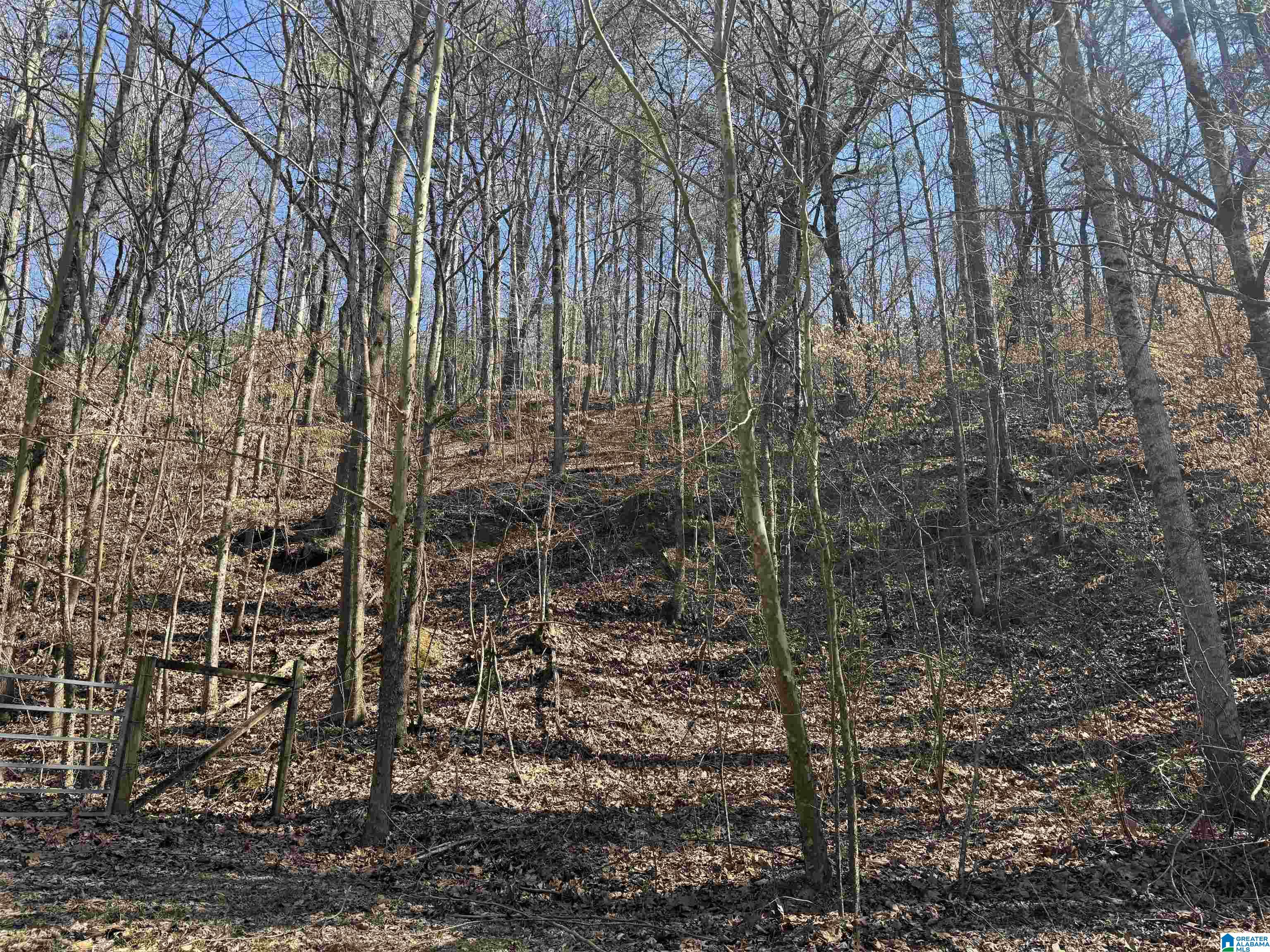 0 Rocky Hollow Road, Unit 3 00 Guntersville, AL 35976 - Photo 11 of 23