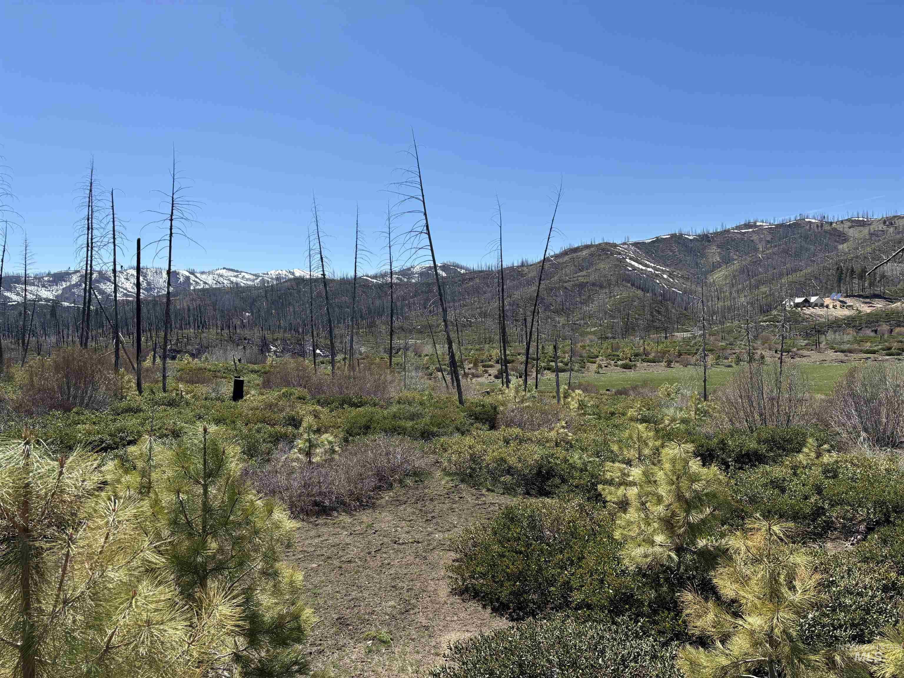 Tbd Lester Creek Road Mountain Home, ID 83647 - Photo 11 of 33