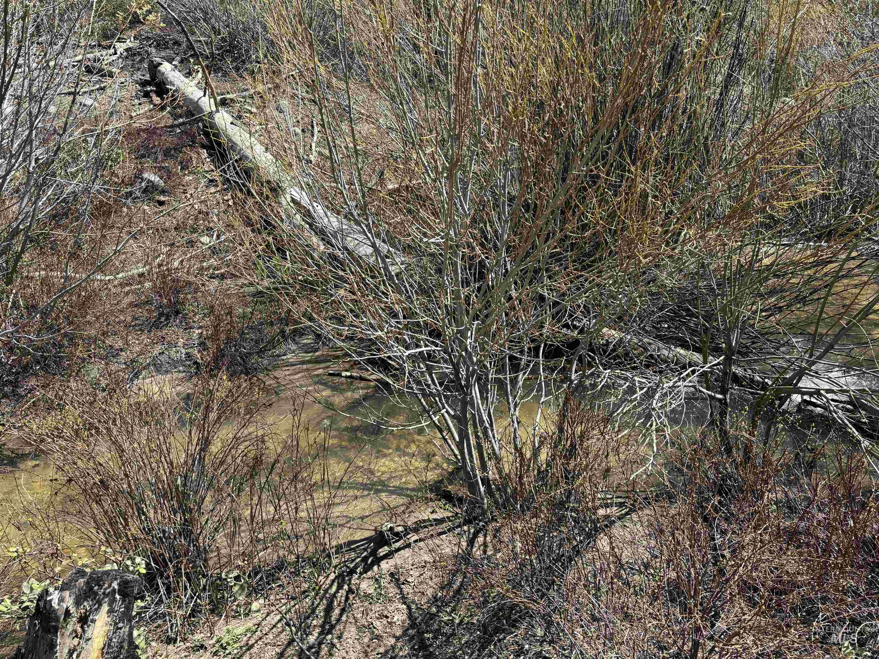 Tbd Lester Creek Road Mountain Home, ID 83647 - Photo 13 of 33