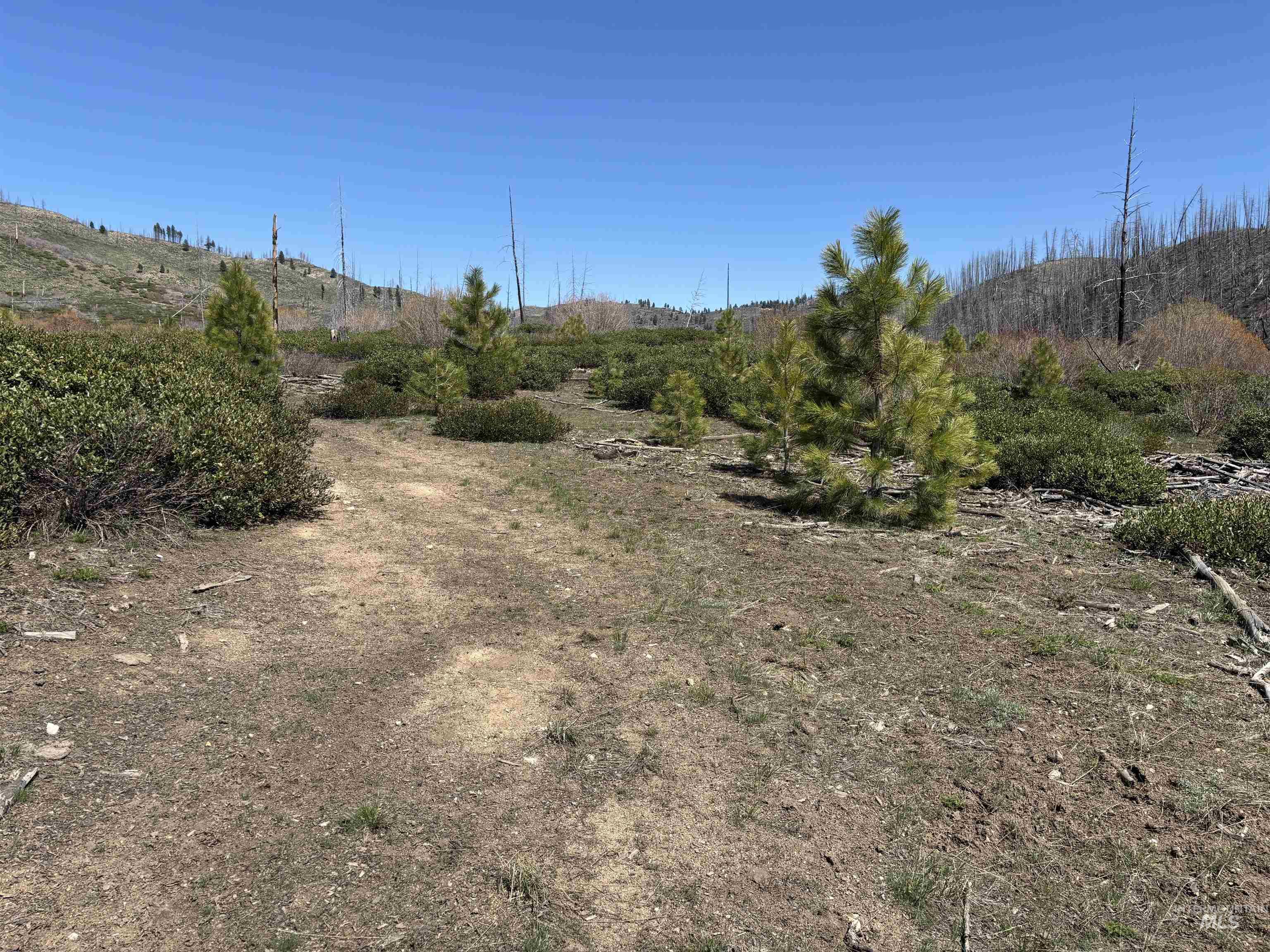 Tbd Lester Creek Road Mountain Home, ID 83647 - Photo 14 of 33