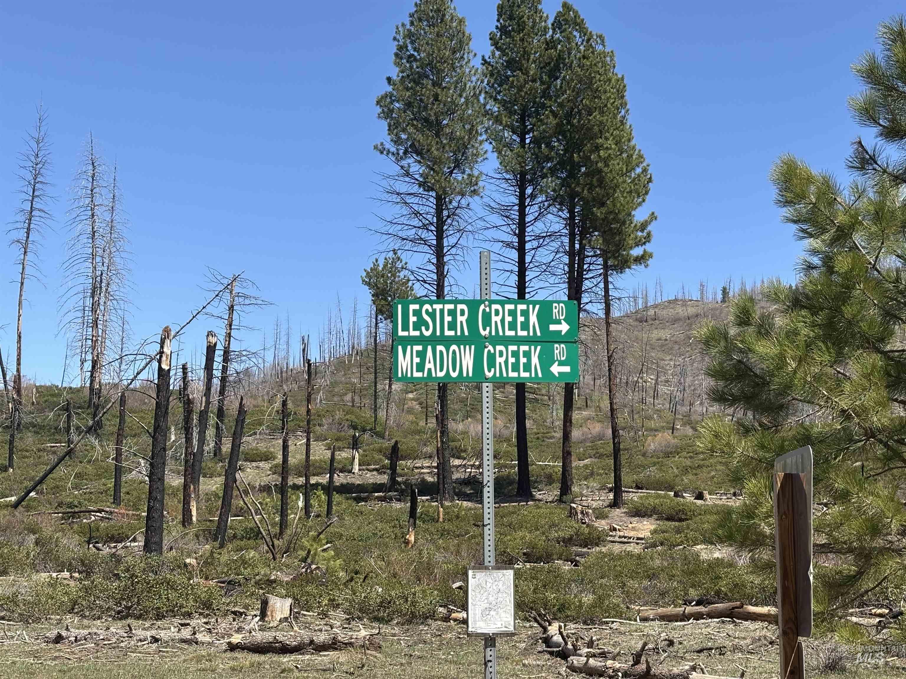 Tbd Lester Creek Road Mountain Home, ID 83647 - Photo 17 of 33