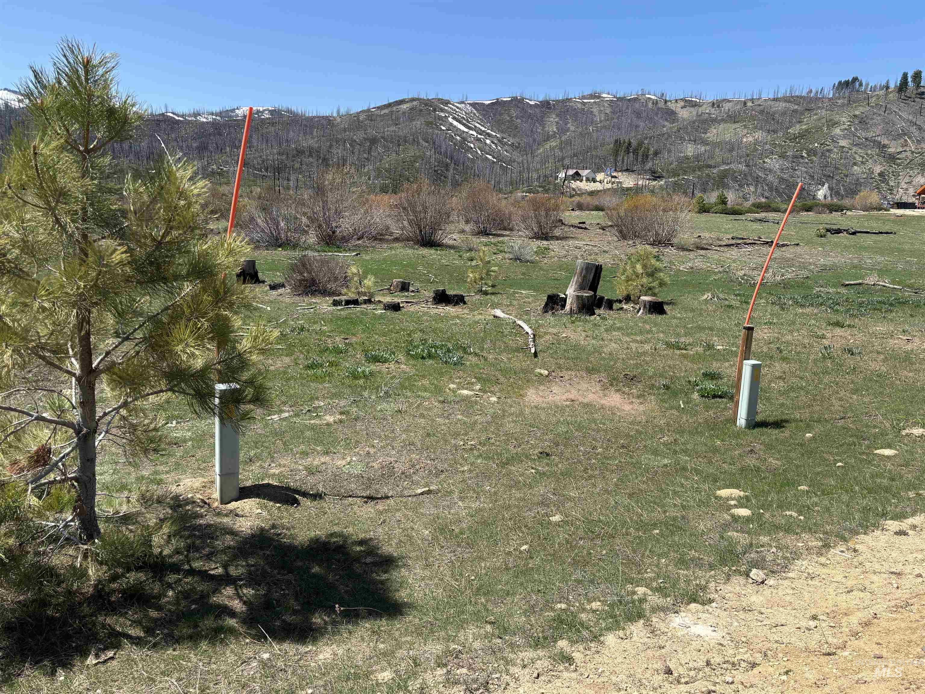 Tbd Lester Creek Road Mountain Home, ID 83647 - Photo 18 of 33