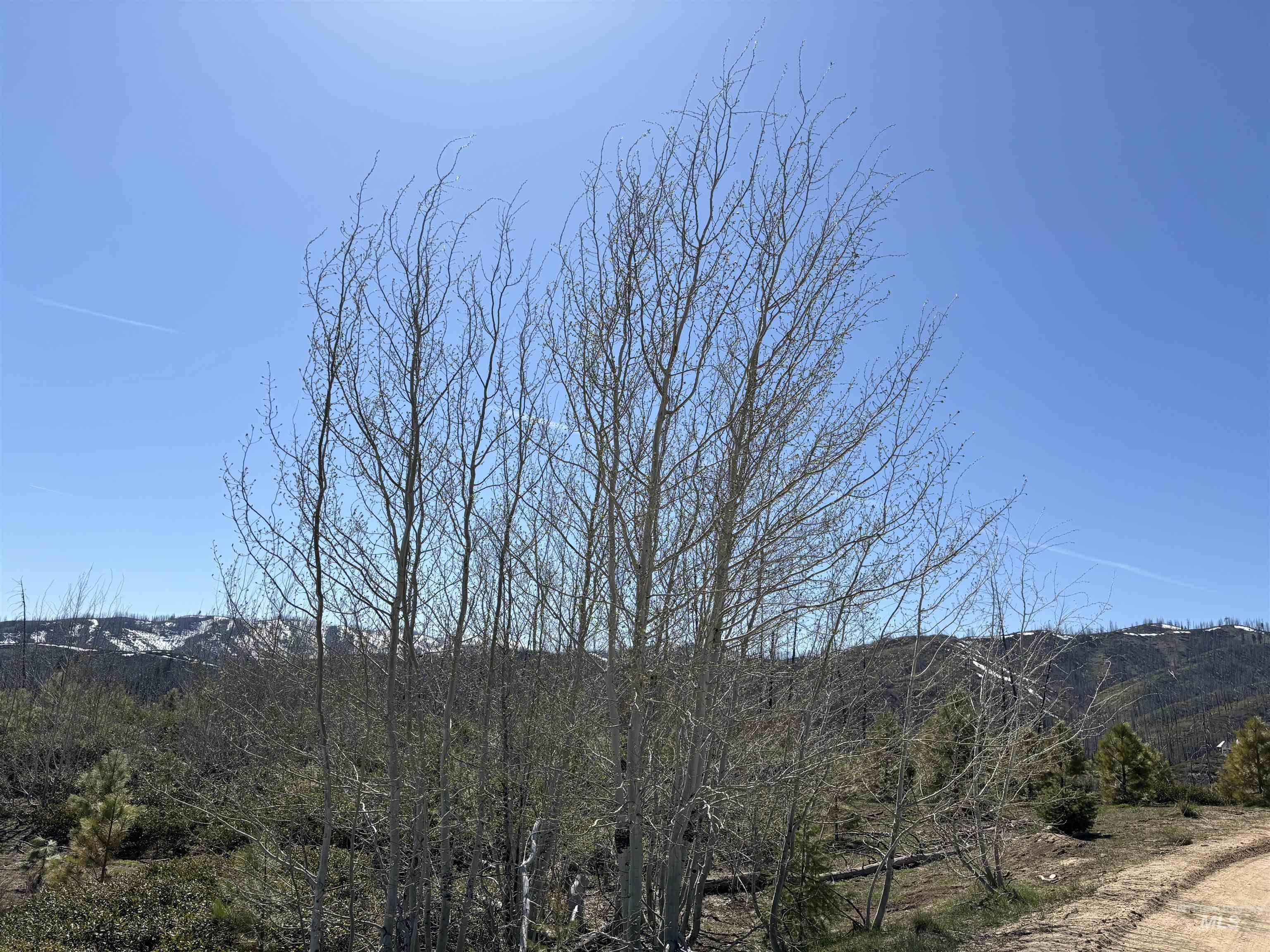 Tbd Lester Creek Road Mountain Home, ID 83647 - Photo 2 of 33