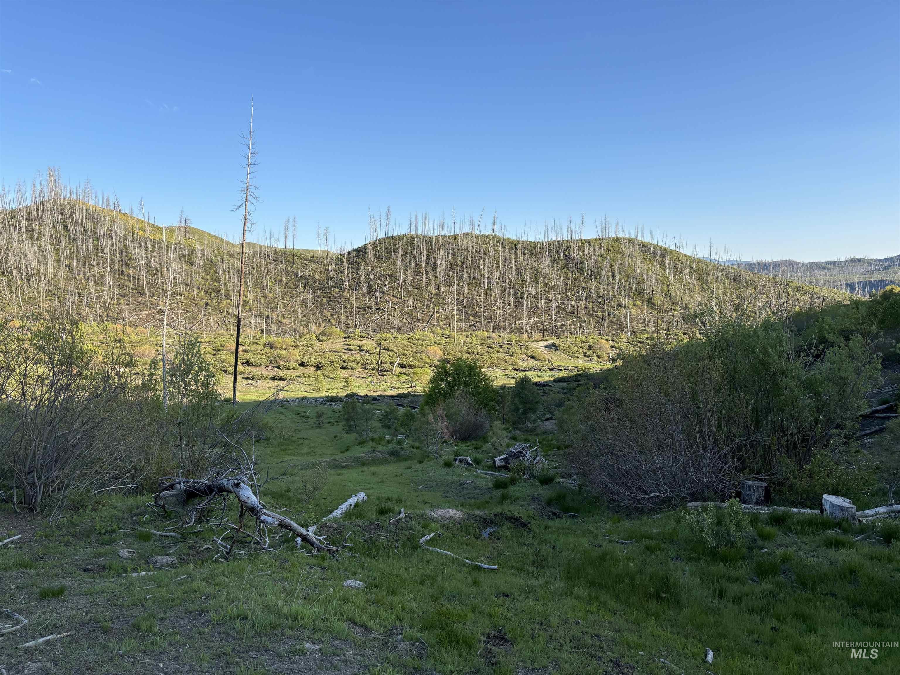 Tbd Lester Creek Road Mountain Home, ID 83647 - Photo 26 of 33