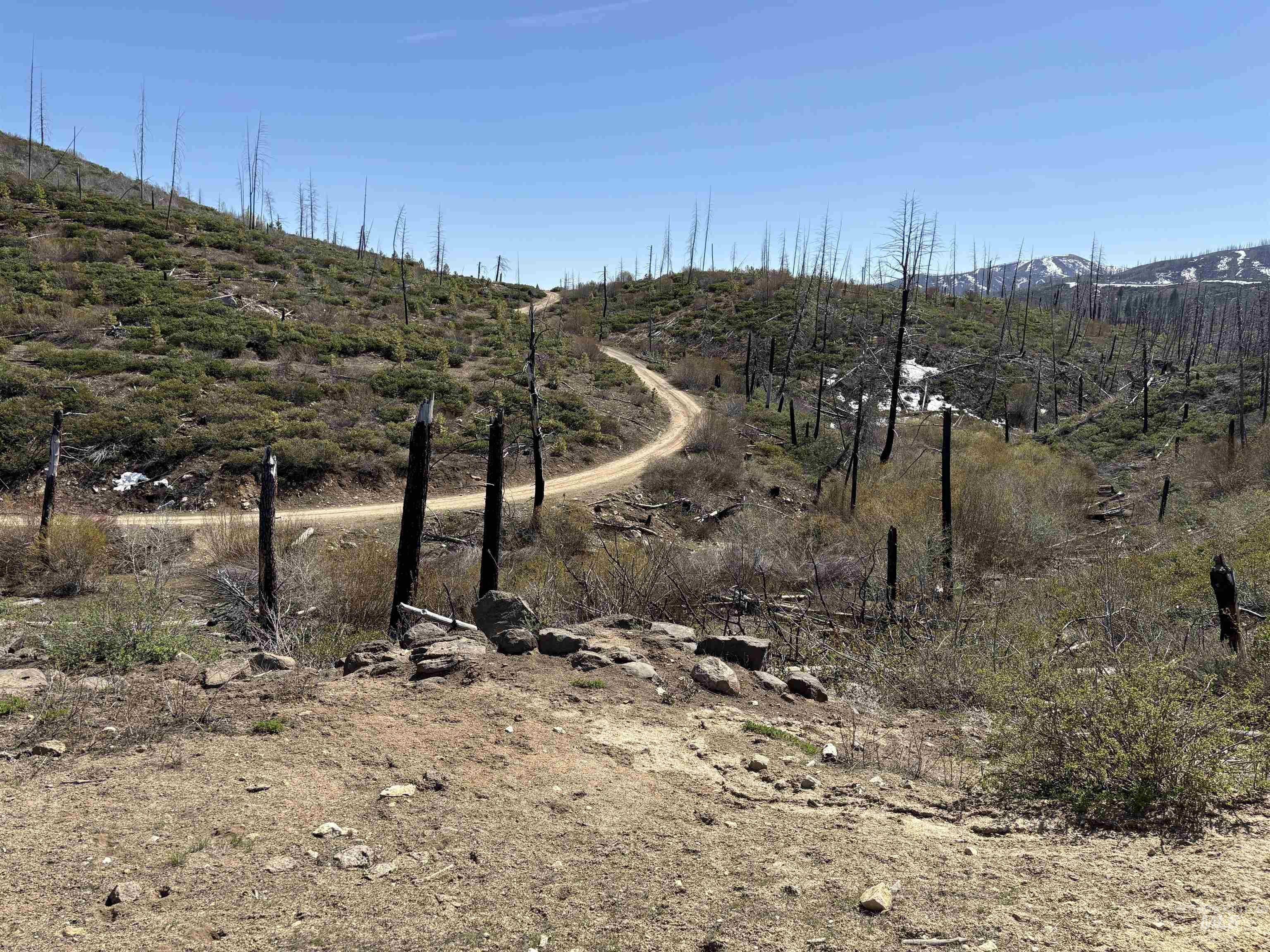 Tbd Lester Creek Road Mountain Home, ID 83647 - Photo 3 of 33