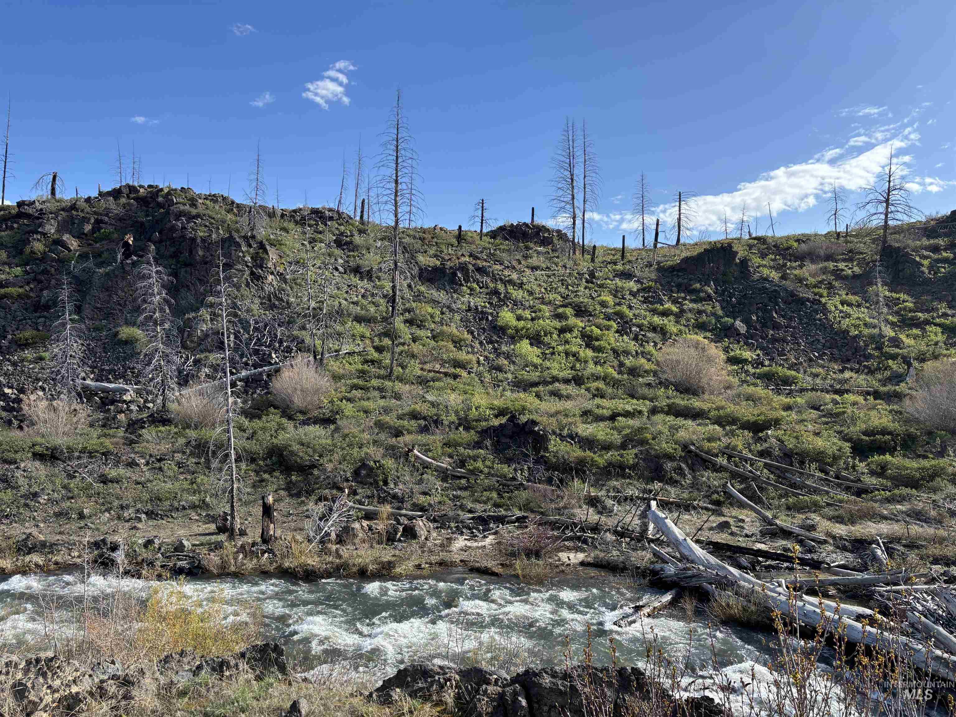 Tbd Lester Creek Road Mountain Home, ID 83647 - Photo 32 of 33