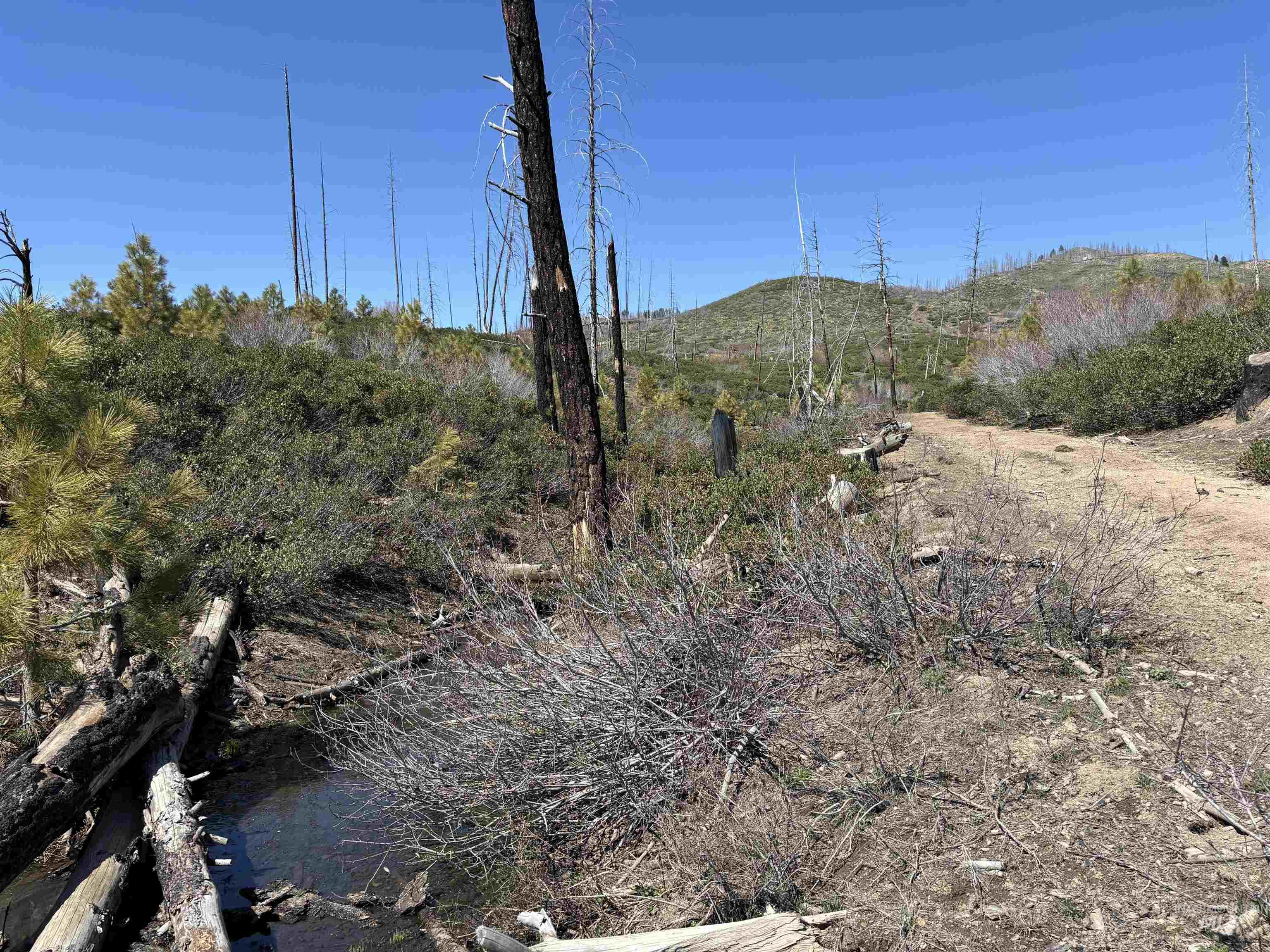 Tbd Lester Creek Road Mountain Home, ID 83647 - Photo 4 of 33