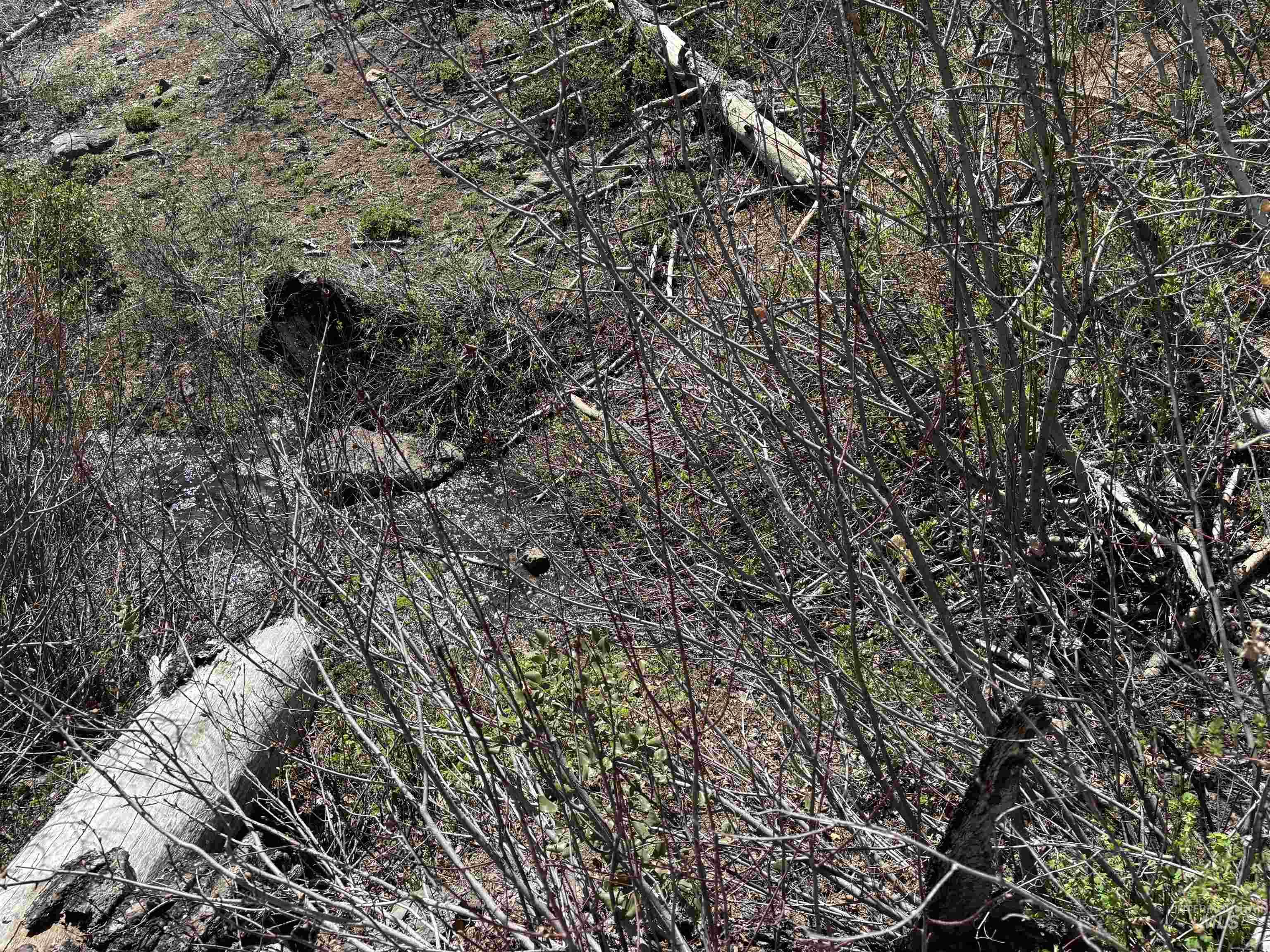 Tbd Lester Creek Road Mountain Home, ID 83647 - Photo 5 of 33