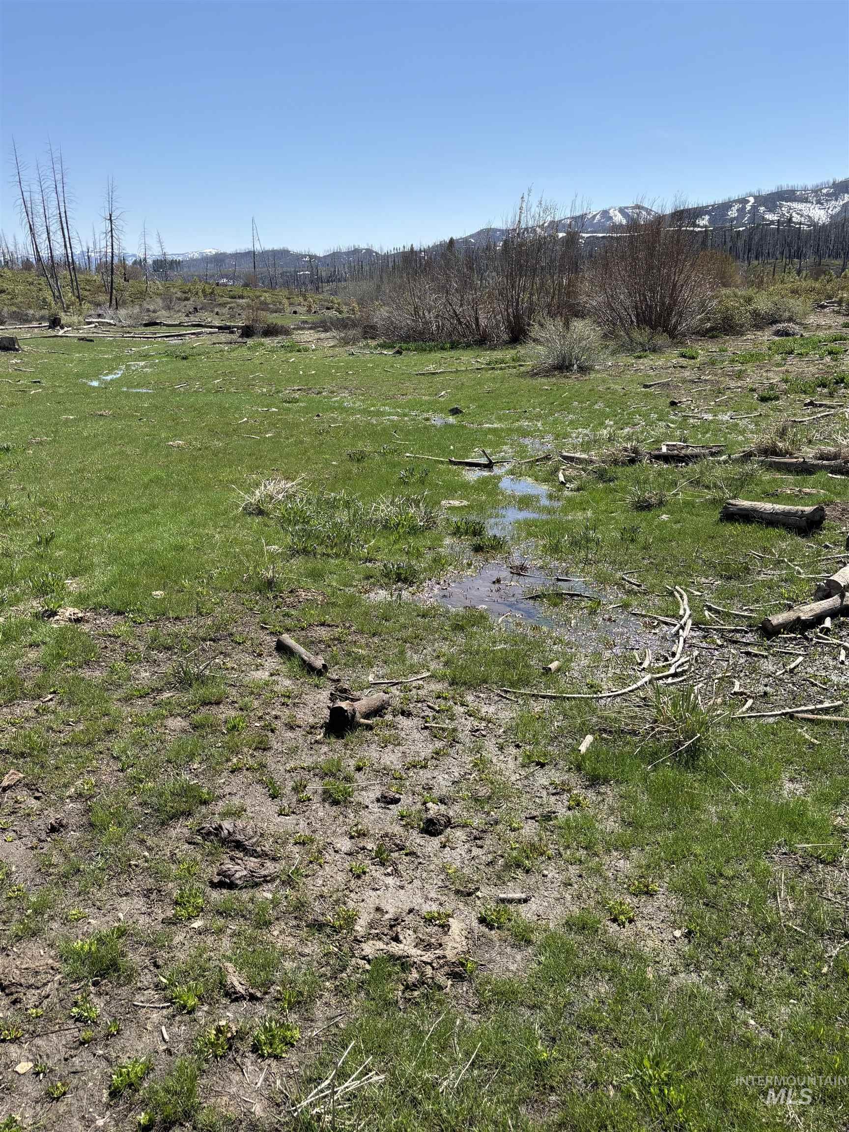 Tbd Lester Creek Road Mountain Home, ID 83647 - Photo 6 of 33