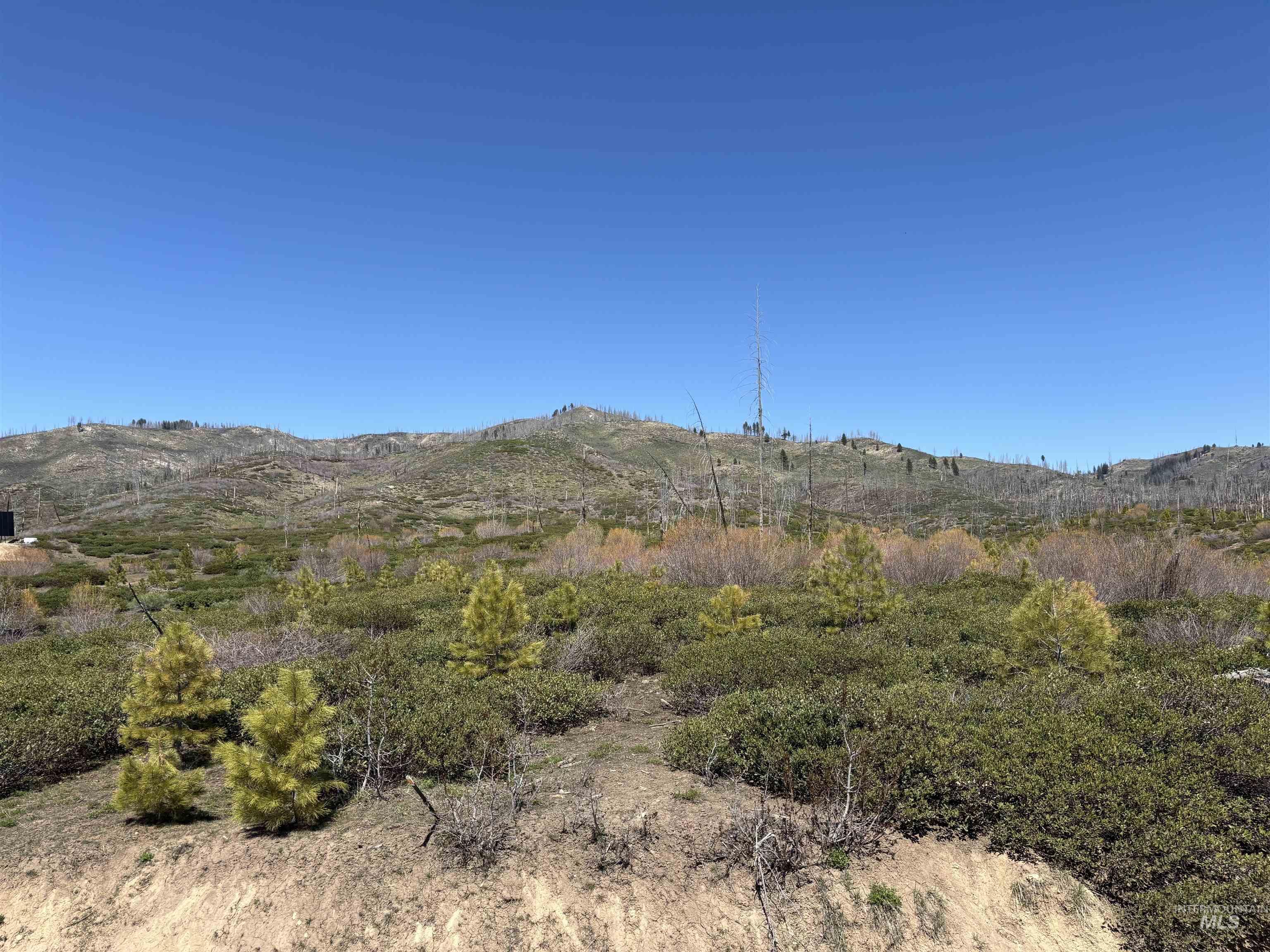 Tbd Lester Creek Road Mountain Home, ID 83647 - Photo 8 of 33