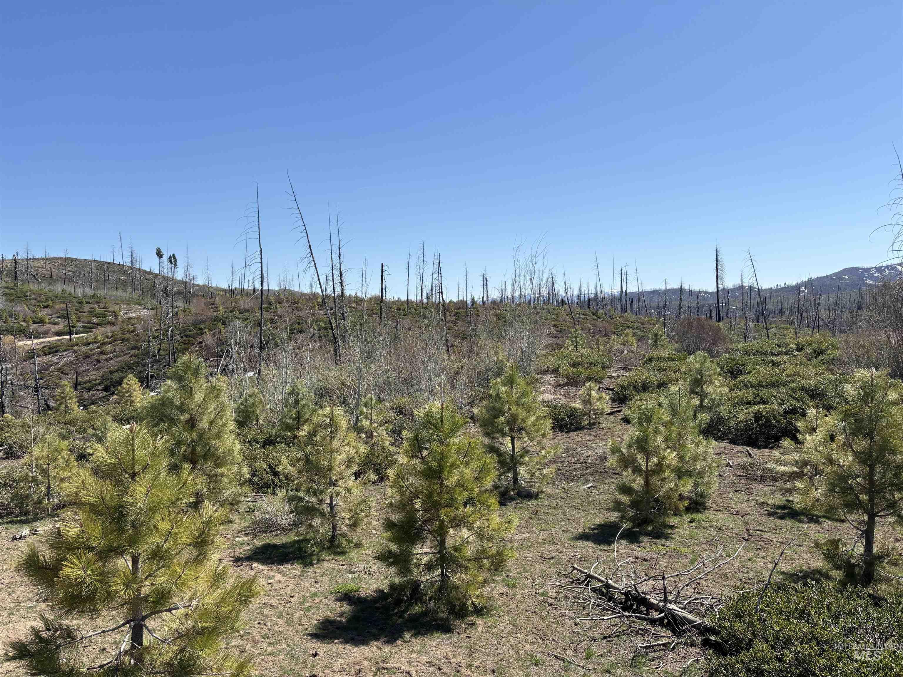 Tbd Lester Creek Road Mountain Home, ID 83647 - Photo 10 of 33