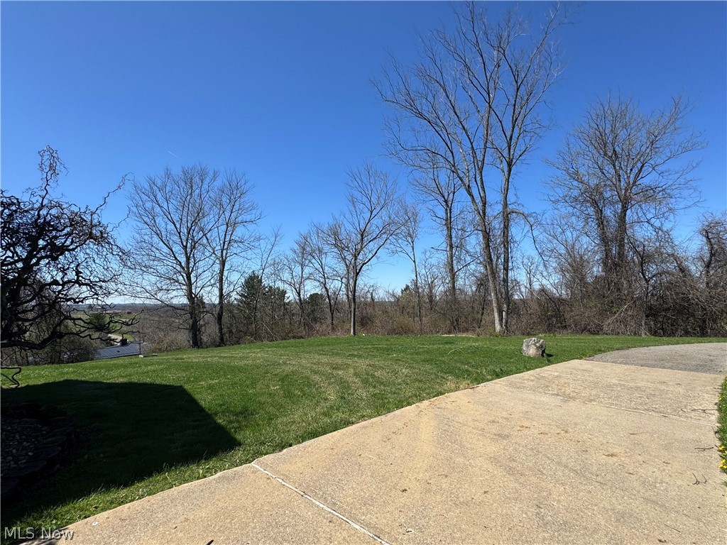 52250 Sidon Road Dillonvale, OH 43917 - Photo 4 of 50 side yard view