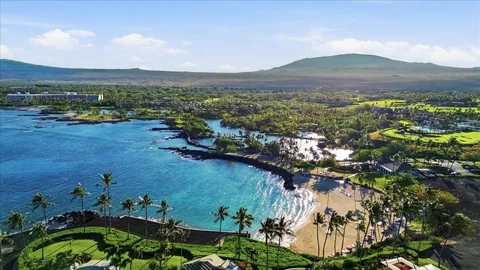 a view of a plant in a garden