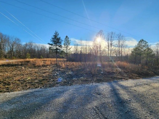 321 Ridgetop Road Hohenwald, TN 38462 - Photo 5 of 6