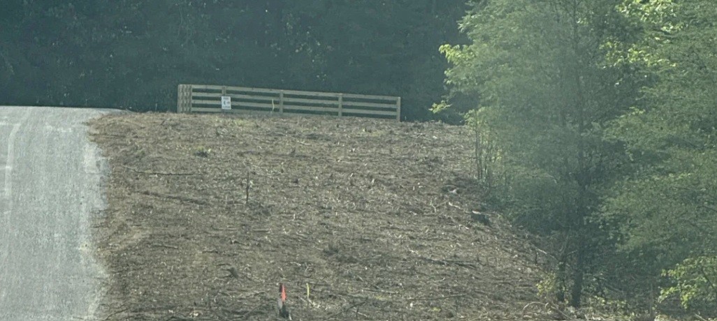 321 Ridgetop Road Hohenwald, TN 38462 - Photo 6 of 6