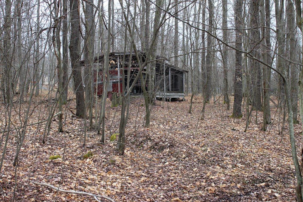 187 Blue Goose Road Marienville, PA 16239 - Photo 10 of 14