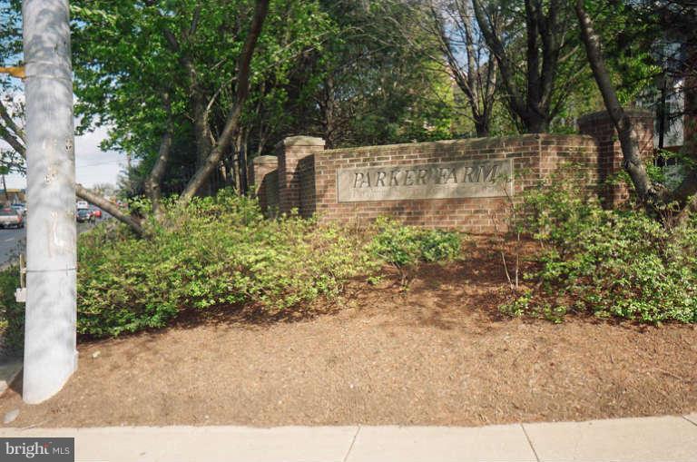 8 Chippewa Court Silver Spring, MD 20906 - Photo 25 of 30 a view of a garden with large trees