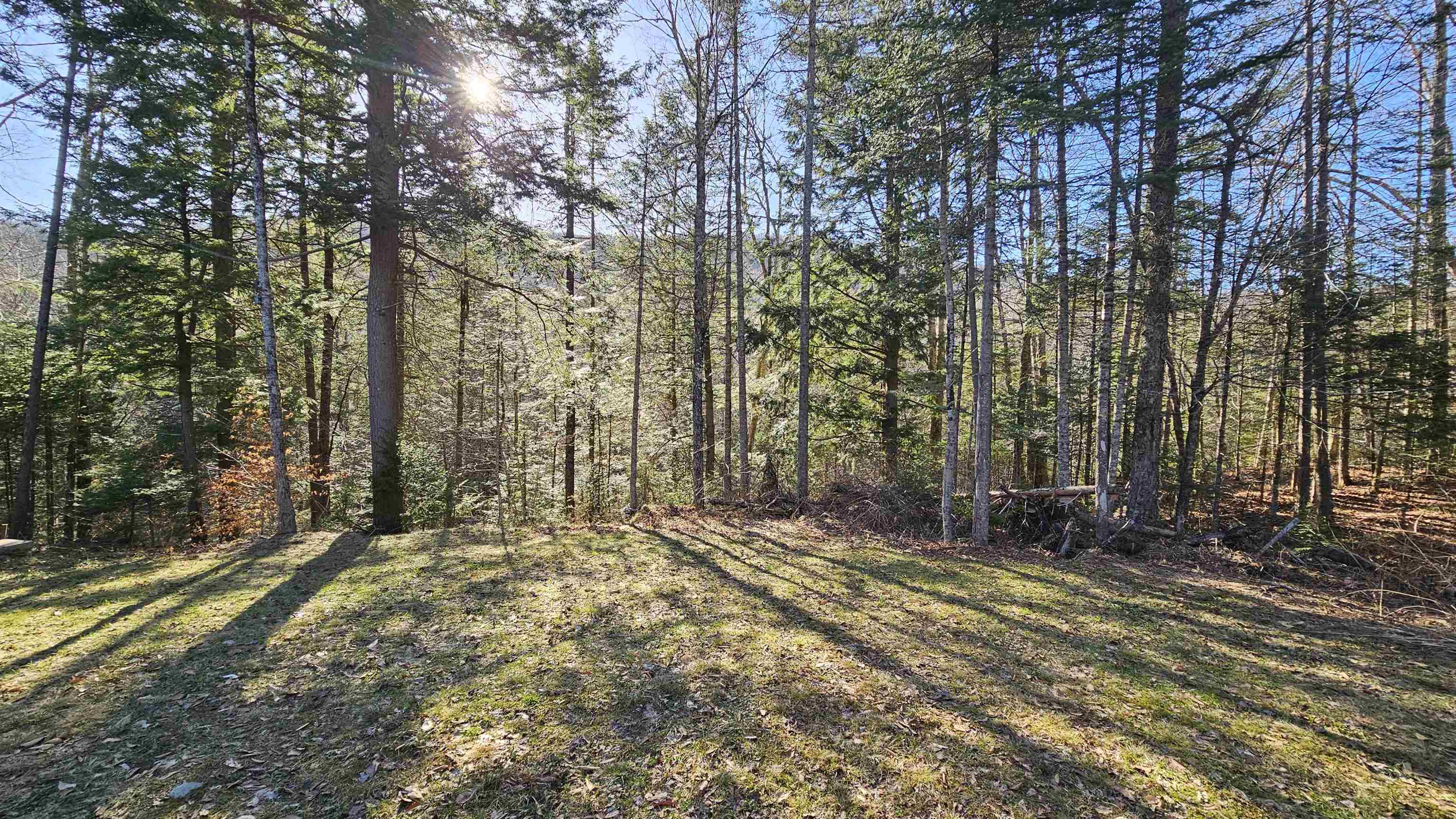 512 Woodbury Mountain Road Calais, VT 05648 - Photo 31 of 59