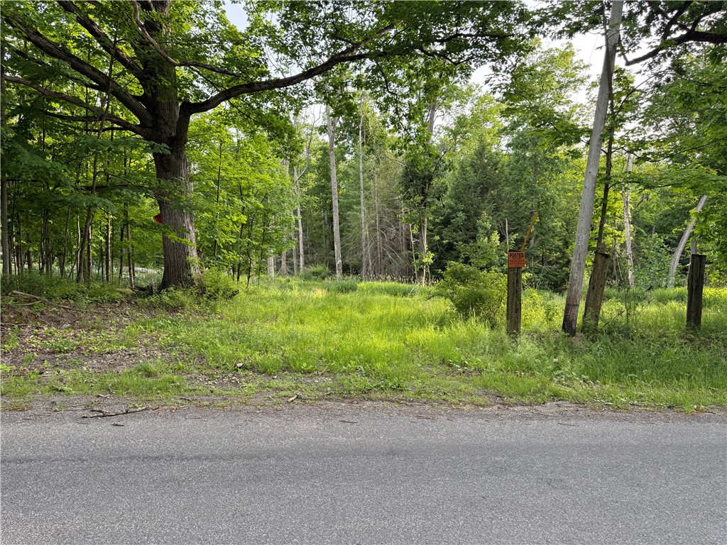 Hill Road Fillmore, NY 14735 - Photo 2 of 5