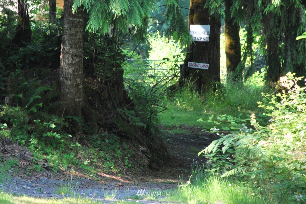 0 East Lombard Road Grapeview, WA 98546 - Photo 4 of 19 Gallery Image 4