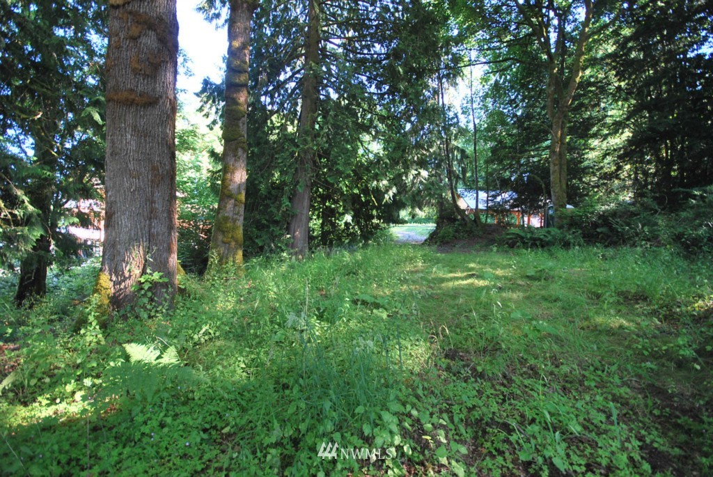 0 East Lombard Road Grapeview, WA 98546 - Photo 8 of 19 Gallery Image 8