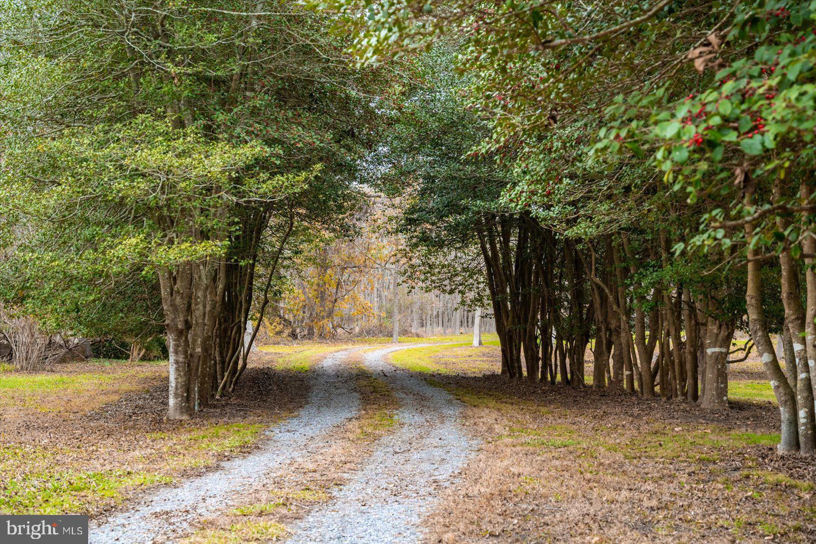 27947 Fairmount Road Westover, MD 21871 - Photo 41 of 122 a view of a yard with trees